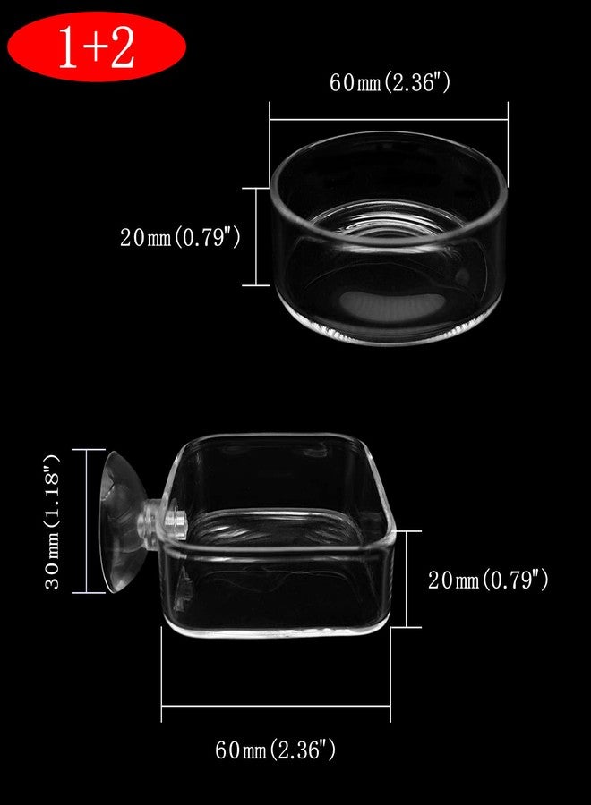 IAFVKAI Aquarium Shrimp Feeder Dish Glass Fish Tank Feeding Bowls, 2pcs Square Glass Food Bowl (60mm), 1pcs Round Fish Feeding Bowls with Suction Cups (60mm) - Image 2